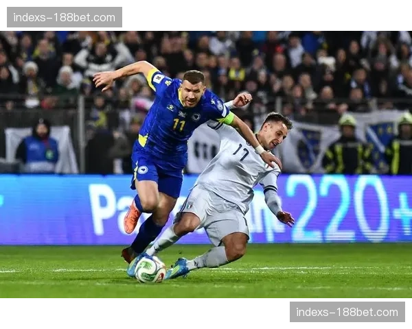 波黑晋级喜悦蒙阴影,老将哲科肩伤恐影响世界杯征程 波黑晋级喜悦蒙阴影,老将哲科肩伤恐影响世界杯征程